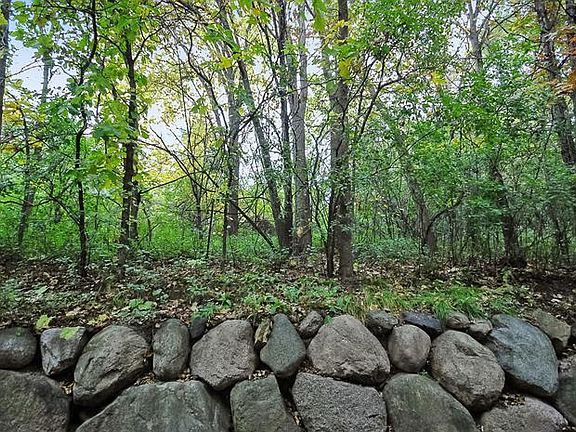 View from kitchen window