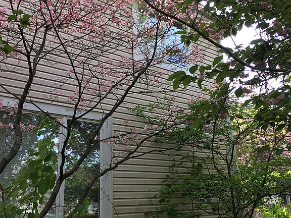 2nd image of 3212 Elkhart St