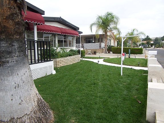 Gorgeous Lawn in Front Yard