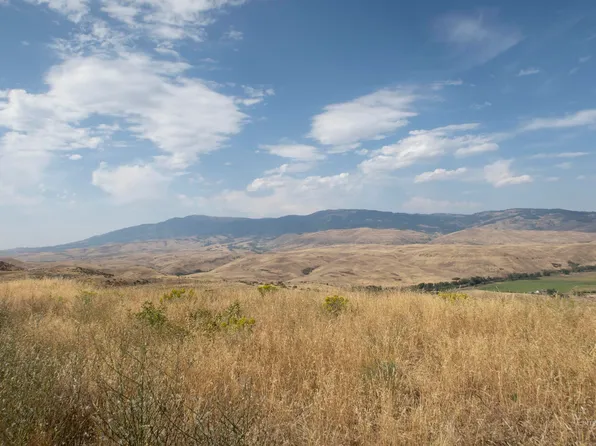 1606 Cuddy View Rd, Council, ID 83612