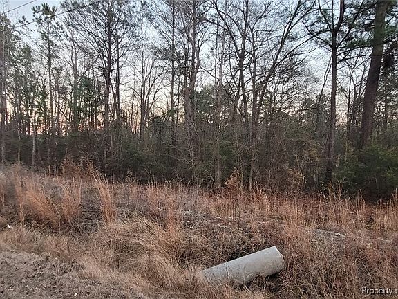 5th image of 0 Melie Lee Rd #1