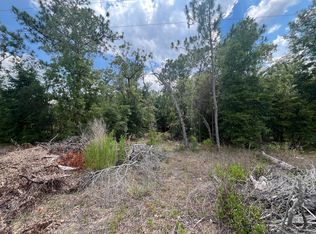 6331 Reed Dr, Keystone Heights, FL 32656