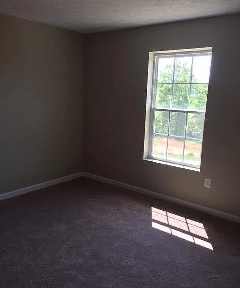 31 Primrose Ct — Photo 11