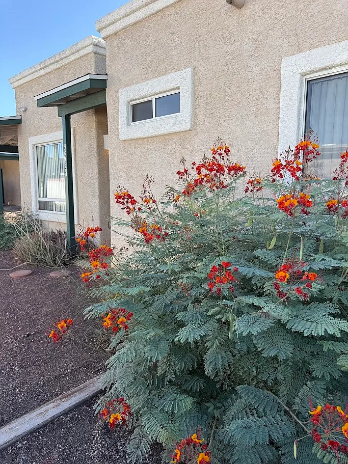 2 bed, 1017 sqft, $1,250 — Photo 1