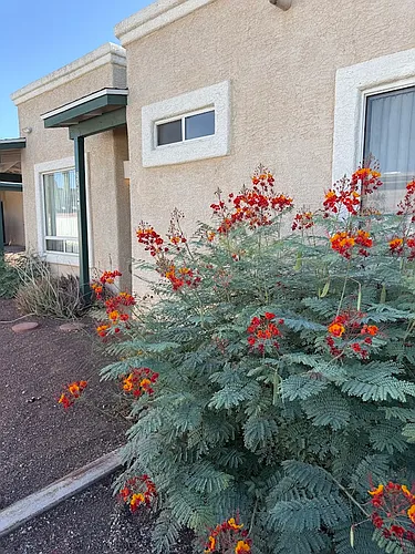 2557 N Crow Creek Ln #1 Photo 1 2557 N Crow Creek Ln #1 Photo 1