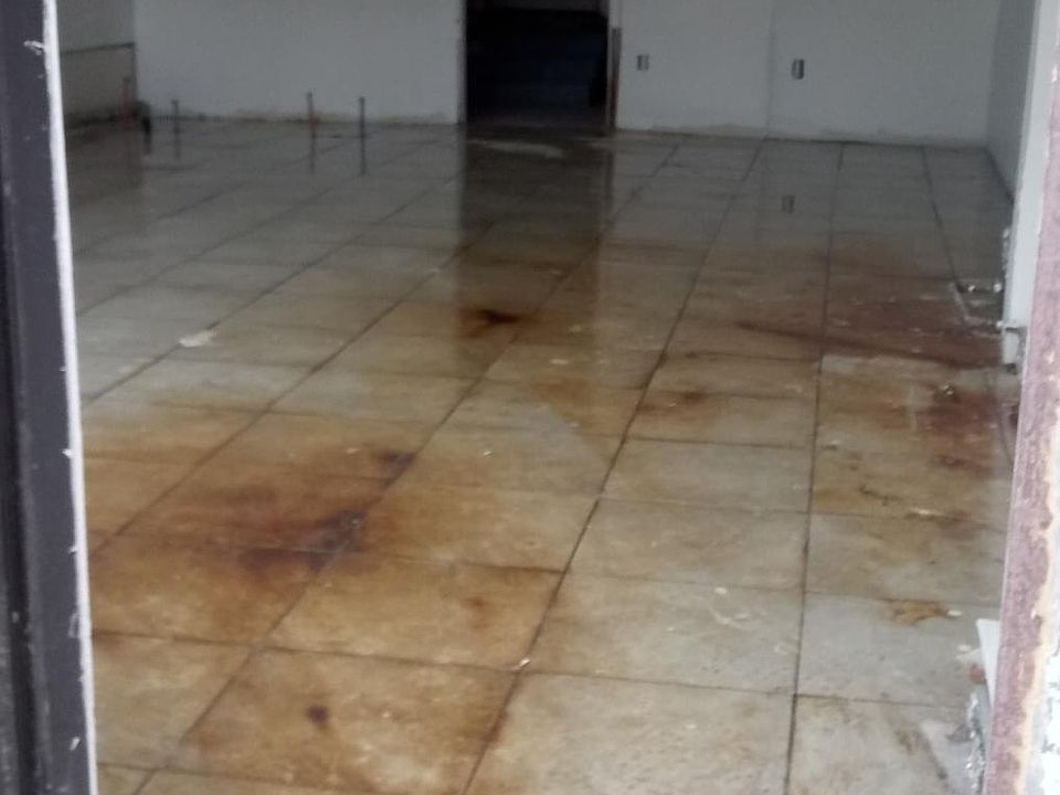 2nd image of 1438 Albany Ave