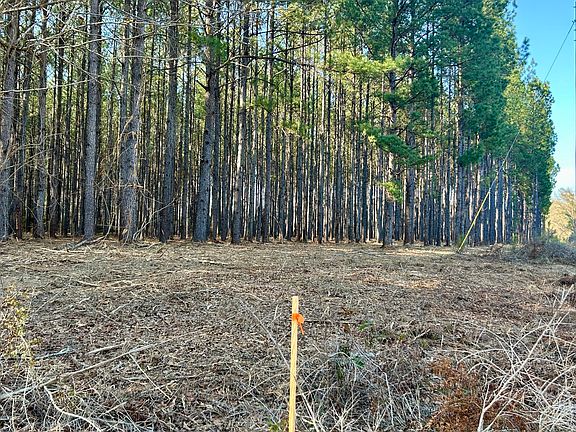 5th image of X Grimes Rd