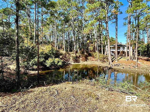 3rd image of 40707 Canal Cir