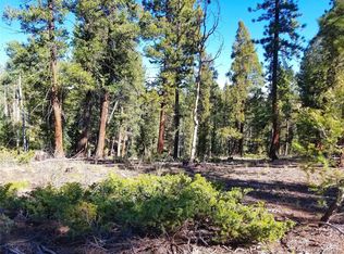 17 Hame Ct, Hartsel, CO 80449