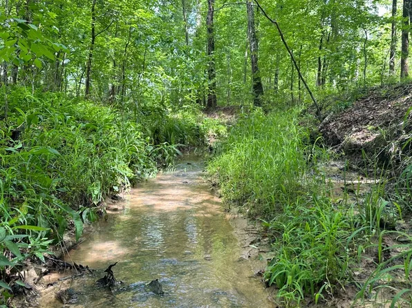 0 Center Hill Rd, Union Pt, GA 30669