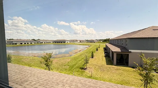 View of the backyard