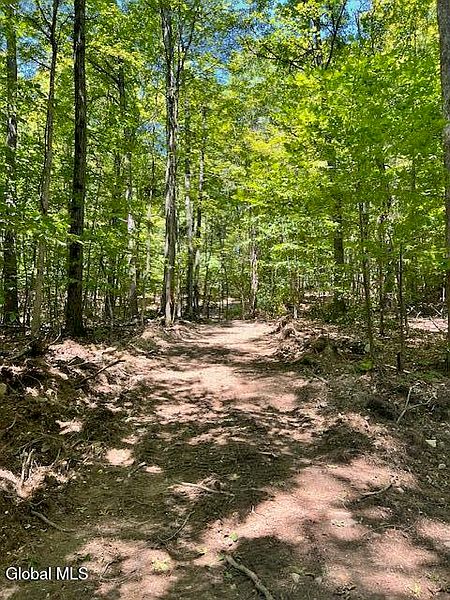 4th image of L7.41 Summit Lake Road