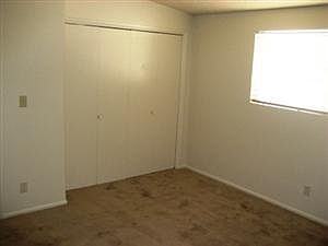 5th image of 441 N Williams APT A