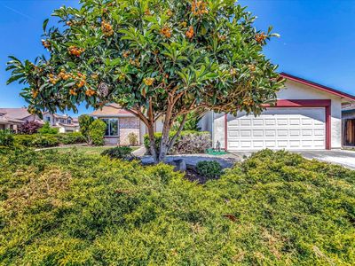 1364 Old Park Pl, San Jose, CA, 95132