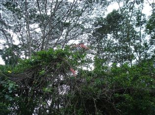 23rd Ave LOT 1126, Keaau, HI 96749