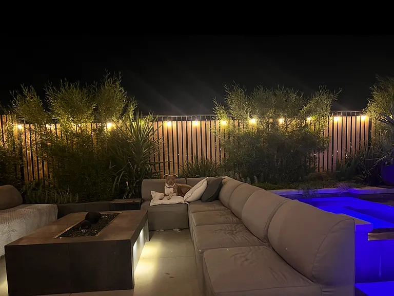 2605 Tolmezzo St — Photo 8