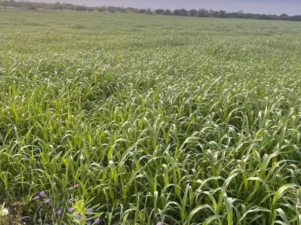 Private Road 3642, Copperas Cove, TX 76522