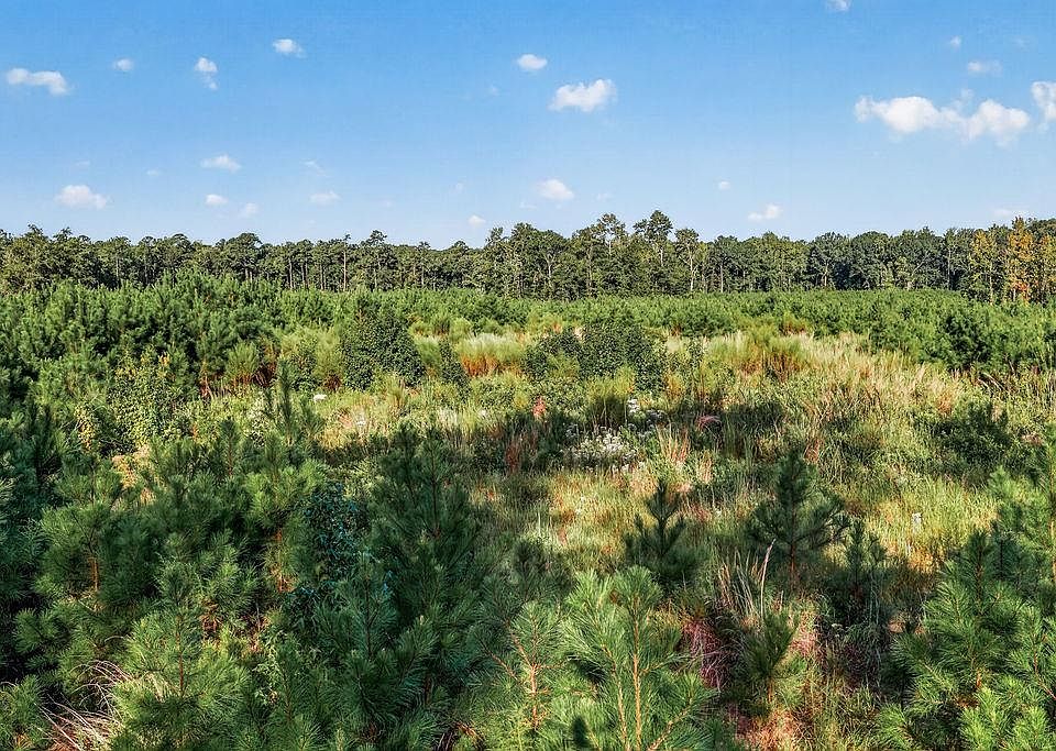 1st image of TBD Albatross Rd
