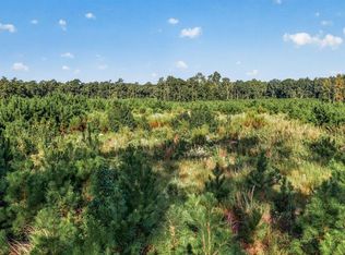 Albatross Rd, Georgetown, SC 29440