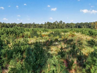 TBD Albatross Rd, Georgetown, SC, 29440