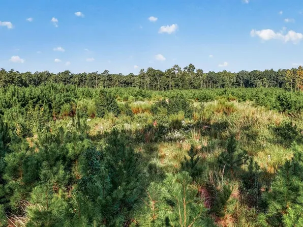 TBD Albatross Rd, Georgetown, SC 29440
