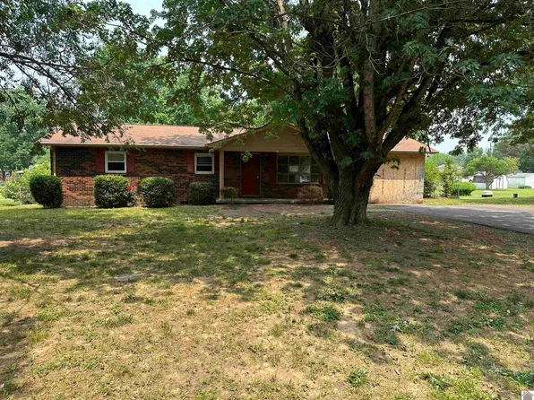 265 Blankenship Rd, Ledbetter, KY 42058