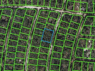 324 Imagination Dr #18, Lake Placid, FL 33852
