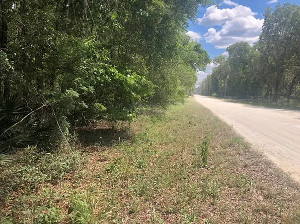  NE 497th St, Old Town, FL 32680