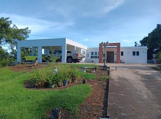 Bo Mulas Carr 156 Km #48.2-LOT 10, Aguas Buenas, PR 00703