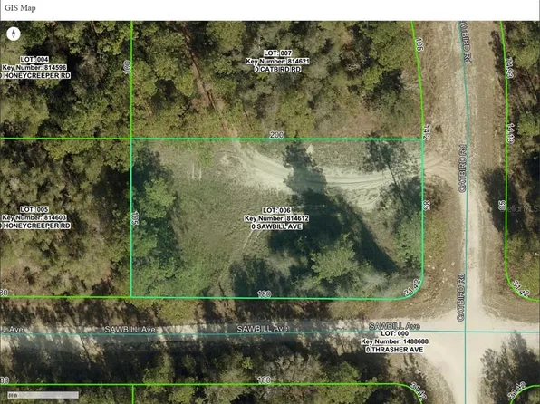 0 Sawbill Ave, Brooksville, FL 34614