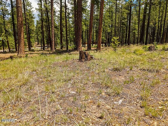 4th image of 98 County Road 2266