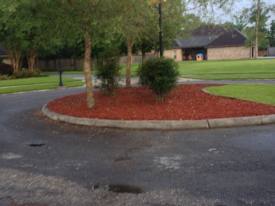 2nd image of 102 Woodchase