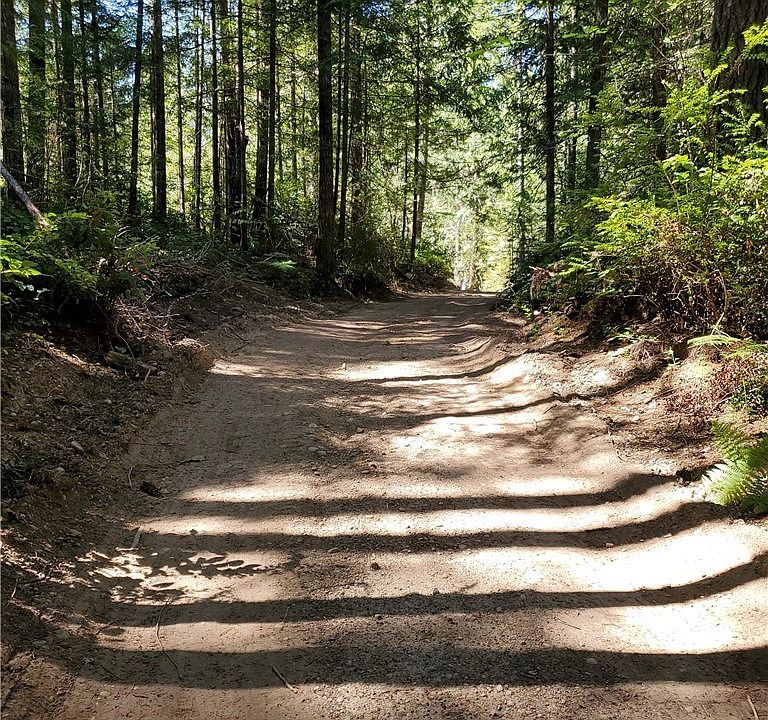 Seller cut temporay road through property for easy access and walking