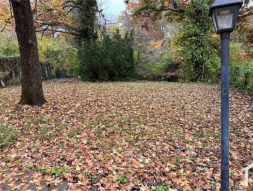 320 Cameron Rd — Photo 9