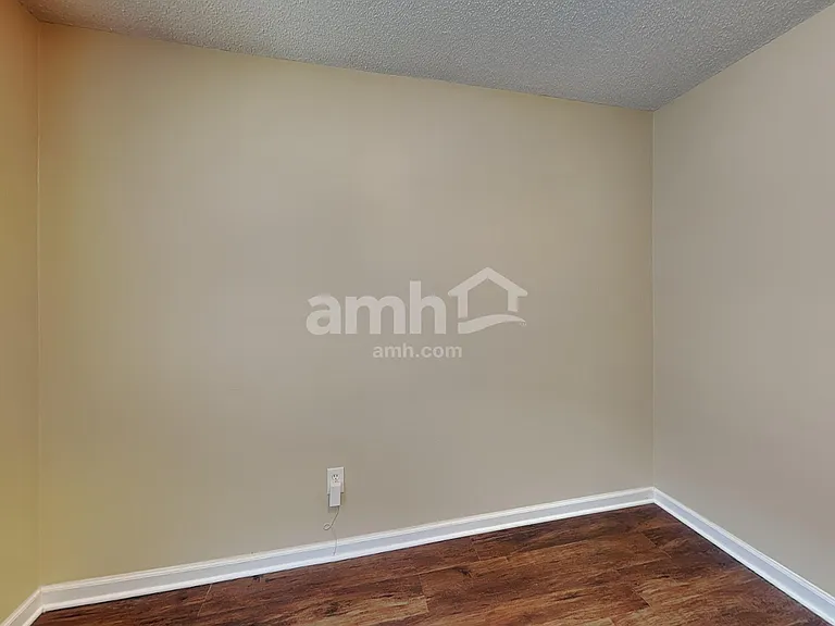 123 Ivy Mill Way — Photo 11