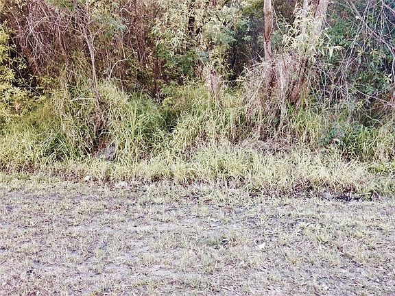 3rd image of 3339 River Estates Dr
