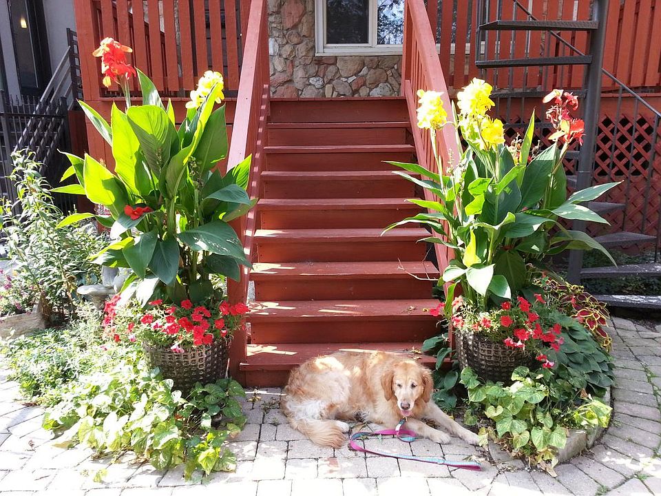 Front entry in the summer