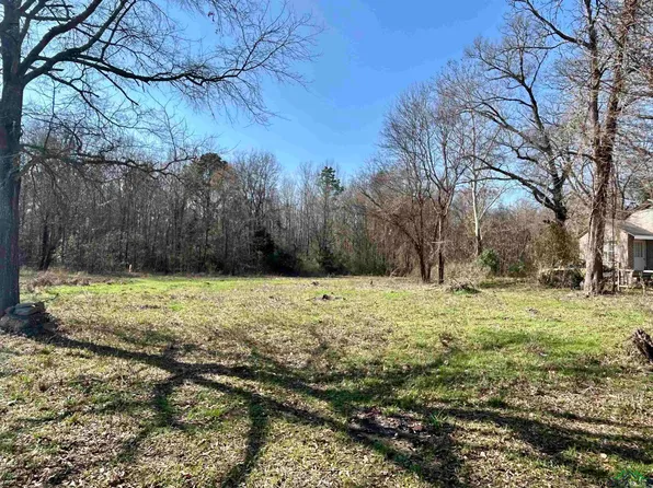 Coach Cooksey St, Gladewater, TX 75647