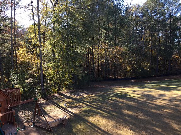 Tree line, back yard 