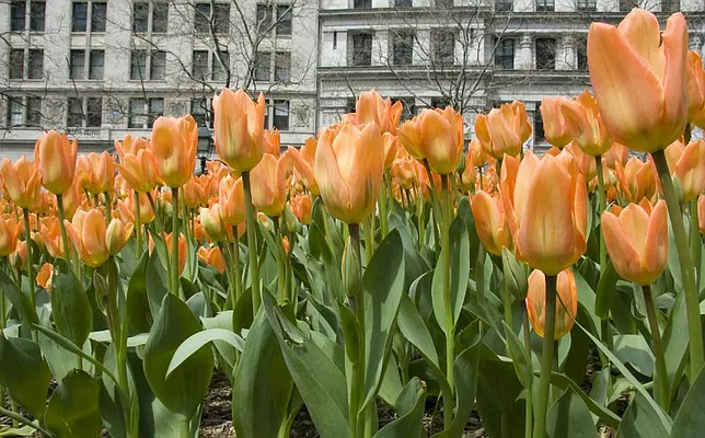 Sold by Town Residential | media 18