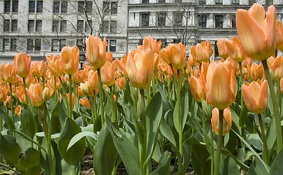 Sold by Town Residential