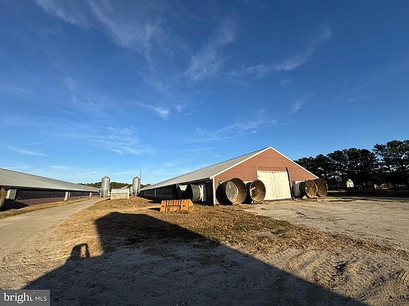 3rd image of 31568 Mount Pleasant Rd