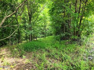 LOT 28 Indian Shadows Dr, Ten Mile, TN 37880