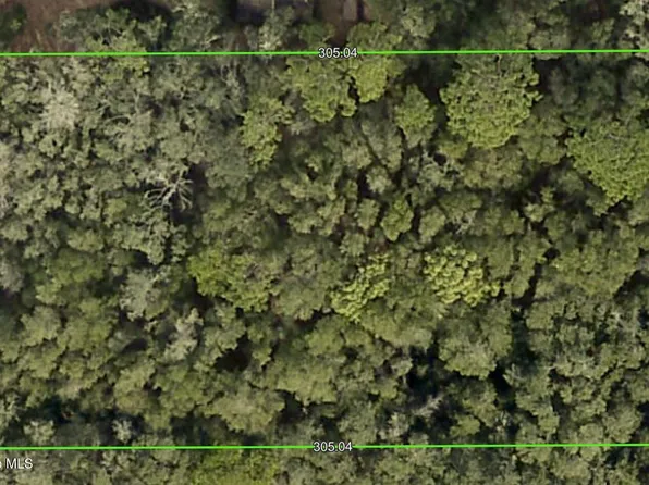 7354 Wagers Dr, Webster, FL 33597