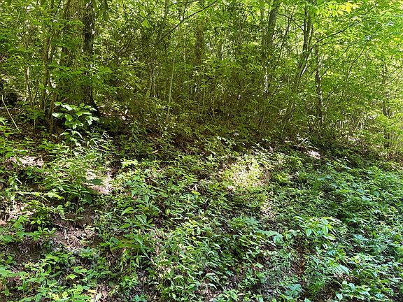 5th image of LOT 38 Middle Ridge Dr