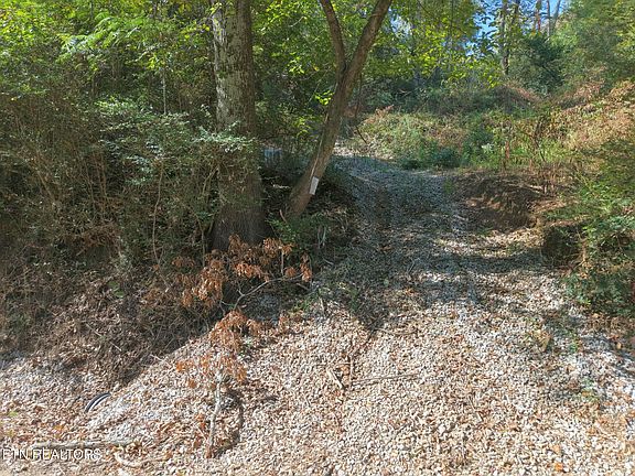 4th image of 181 Whitehall Rd
