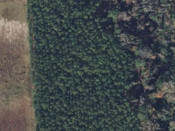 Sr 1436 Deppe Road, Maysville, NC 28555