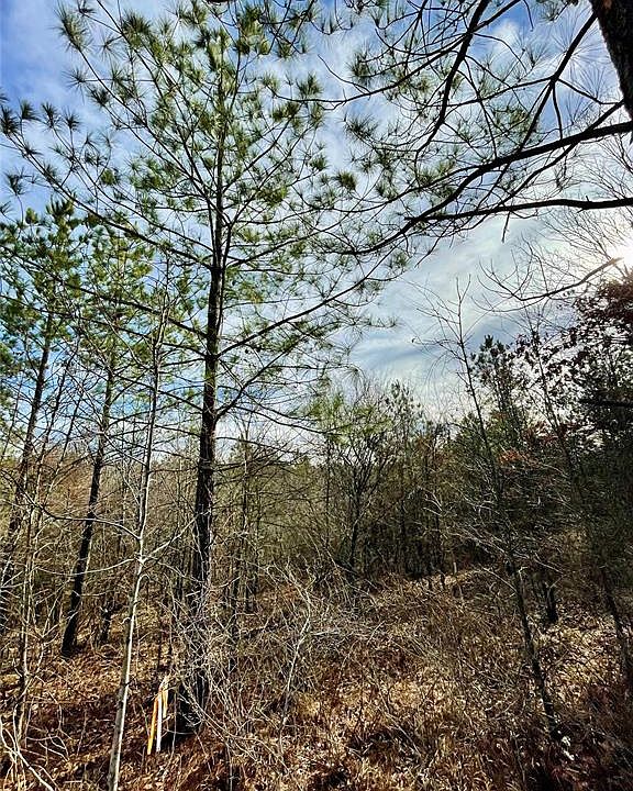 2nd image of 723 Timber Creek Trl