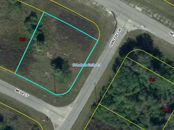 8102 Mesa Ct, Labelle, FL 33935