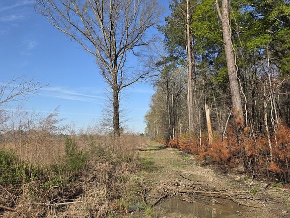 5th image of 0 Jenkins Ln